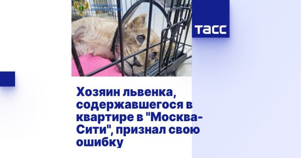 e2d95a4e17982bf73d27514ca019ca29