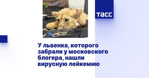 fdf26423883196c37bc0c1c4ae23b225