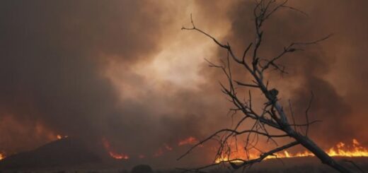 e4de059dfc5b8f8a84e012f40a169201