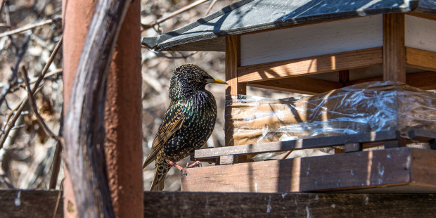 a9d57941e983865c60fdc5f5cead16c0