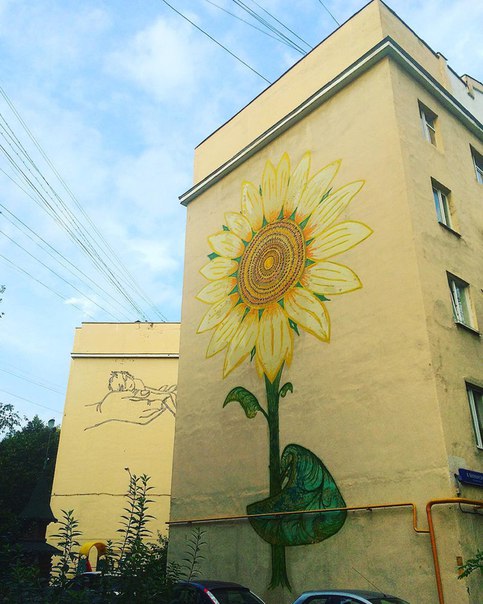 Осень — время спелых подсолнухов Осень — время спелых подсолнухов