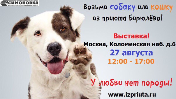 Благотворительная выставка-пристройство подопечных приюта "Бирюлево" "Четвероногие звезды кино"