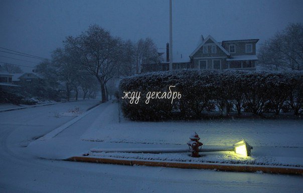 Совсем скоро улицы будут усыпаны