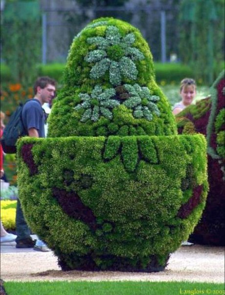 Международная выставка &laquo;Цветы-2016&raquo;