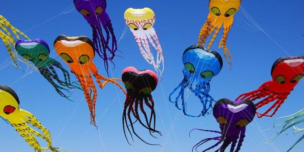 В Москве состоится фестиваль воздушных змеев В Москве состоится фестиваль воздушных змеев