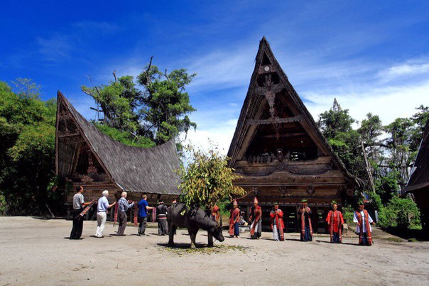 Фестиваль Индонезии в саду &laquo;Эрмитаж&raquo; 