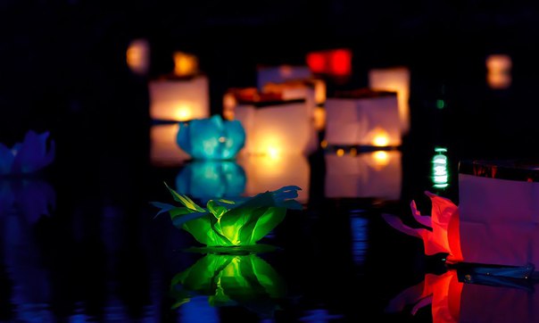 Фестиваль Водных фонариков