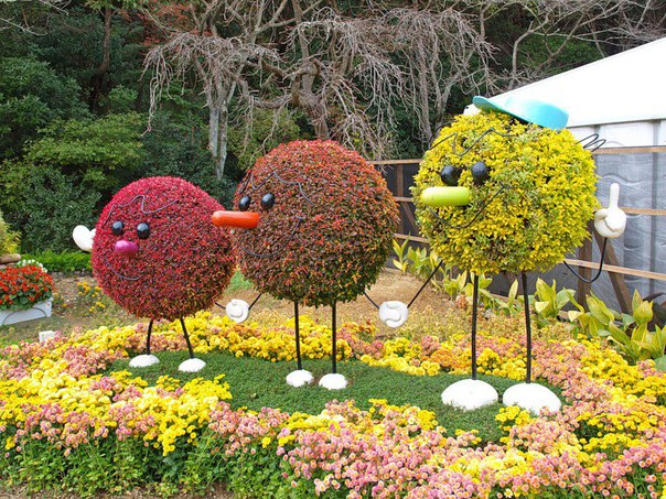 Международная выставка &laquo;Цветы-2016&raquo;