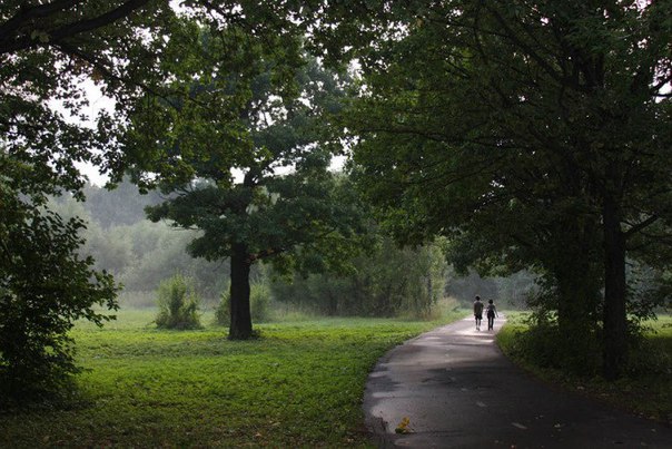 Генпрокуратура не нашла нарушений при вырубке деревьев в «Кусково» Генпрокуратура не нашла нарушений при вырубке деревьев в «Кусково»