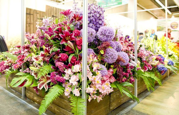 Международная выставка &laquo;Цветы-2016&raquo;