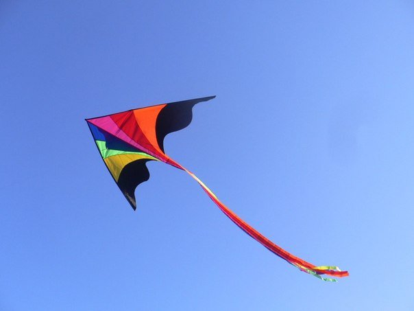 В Москве состоится фестиваль воздушных змеев В Москве состоится фестиваль воздушных змеев